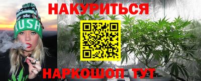молекула духа Камышлов