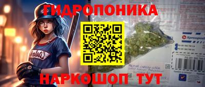 молекула духа Камышлов