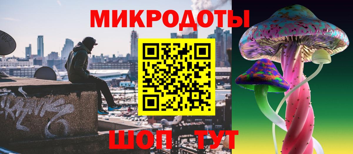 Псилоцибиновые грибы мицелий  купить закладку  Краснодар  Вход с VPN  Галлюциногенные грибы GOLDEN TEACHER 