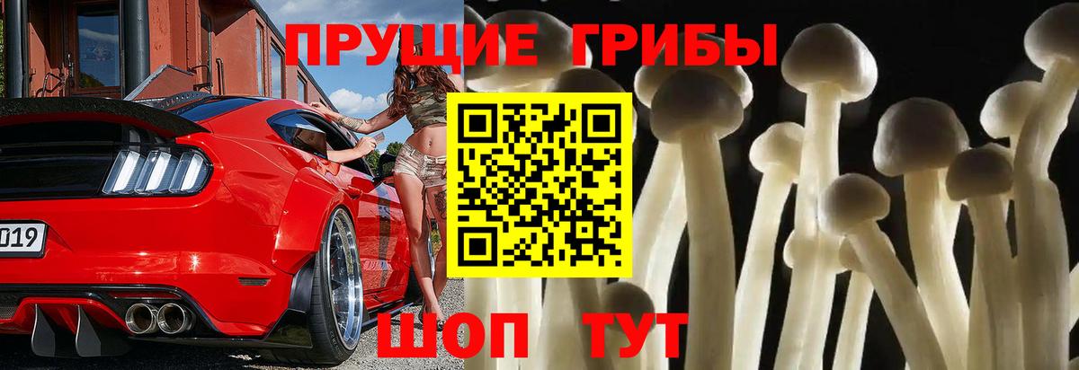 Галлюциногенные грибы мицелий Краснодар